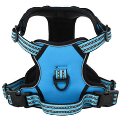 vidaXL Dog Harness with Lead and Collar Adjustable Dog Vest Harness Pink XL - blue, xl