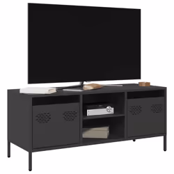 VidaXL 851298 TV cabinet/entertainment centre