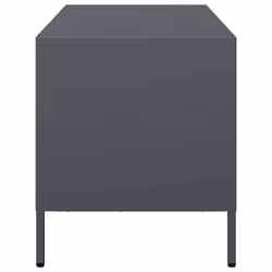 vidaXL TV Cabinet Anthracite 101.5x39x43.5 cm Cold-rolled Steel TV stand - Additional view 5