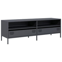 VidaXL 851336 TV cabinet/entertainment centre