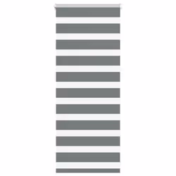 vidaXL Zebra Blind Dark Grey 45x230 cm Fabric Width 40.9 cm Polyester - dark grey, 55 x 100 cm