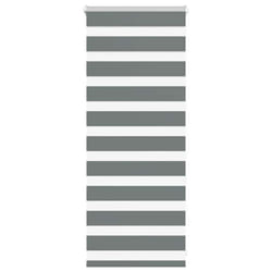 vidaXL Zebra Blind Dark Grey 45x230 cm Fabric Width 40.9 cm Polyester - dark grey, 55 x 100 cm