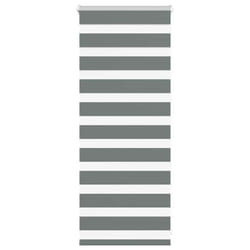 vidaXL Zebra Blind Dark Grey 60x230 cm Fabric Width 55.9 cm Polyester - dark grey, 60 x 100 cm