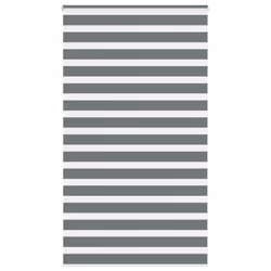 vidaXL Zebra Blind Fabric Polyester - dark grey, 120 x 200 cm
