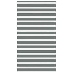 vidaXL Zebra Blind Fabric Polyester - dark grey, 120 x 200 cm