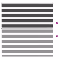 vidaXL Zebra Blind Black 145x150 cm Fabric Width 140.9 cm Polyester - Additional view 4