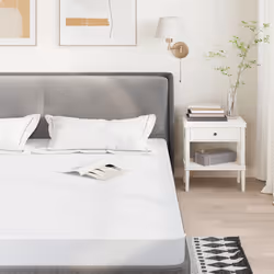 VidaXL 4100160 mattress cover/protector 120 x 220 cm