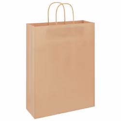 vidaXL Paper Bags 50 pcs with Handles Brown 15x8x21 cm Grocery Paper Gift Bag - brown, 32 x 12 x 42 cm