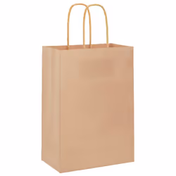 vidaXL Paper Bags 250 pcs with Handles Brown 21x11x36 cm Paper Grocery Bag - brown, 15 x 8 x 21 cm