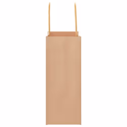vidaXL Paper Bags 250 pcs with Handles Brown 21x11x36 cm Paper Grocery Bag - brown, 15 x 8 x 21 cm