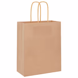 vidaXL Paper Bags 250 pcs with Handles Brown 21x11x36 cm Paper Grocery Bag - brown, 18 x 8 x 22 cm