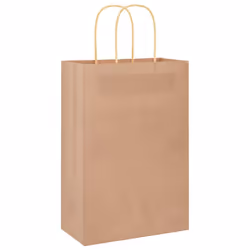 vidaXL Paper Bags 250 pcs with Handles Brown 21x11x36 cm Paper Grocery Bag - brown, 22 x 11 x 31 cm