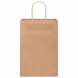 vidaXL Paper Bags 250 pcs with Handles Brown 21x11x36 cm Paper Grocery Bag - brown, 22 x 11 x 31 cm