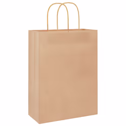vidaXL Paper Bags 250 pcs with Handles Brown 21x11x36 cm Paper Grocery Bag - brown, 26 x 12 x 35 cm