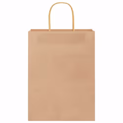 vidaXL Paper Bags 250 pcs with Handles Brown 21x11x36 cm Paper Grocery Bag - brown, 26 x 12 x 35 cm