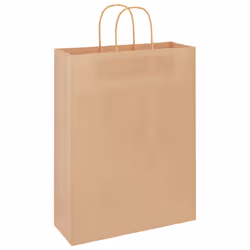 vidaXL Paper Bags 250 pcs with Handles Brown 21x11x36 cm Paper Grocery Bag - brown, 32 x 12 x 42 cm