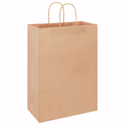 vidaXL Paper Bags 250 pcs with Handles Brown 21x11x36 cm Paper Grocery Bag - brown, 32 x 17 x 44 cm