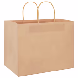 vidaXL Paper Bags 250 pcs with Handles Brown 21x11x36 cm Paper Grocery Bag - brown, 32 x 22 x 24 cm
