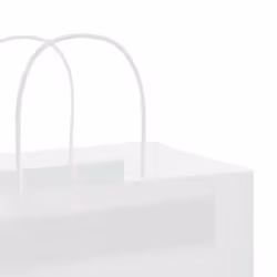 vidaXL Paper Bags 250 pcs with Handles Brown 21x11x36 cm Paper Grocery Bag - white, 26 x 17 x 25 cm - Additional view 9