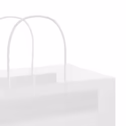 vidaXL Paper Bags 250 pcs with Handles Brown 21x11x36 cm Paper Grocery Bag - white, 54 x 15 x 49 cm - Additional view 9