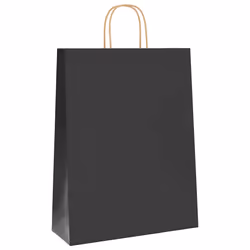 vidaXL Paper Bags 250 pcs with Handles Brown 21x11x36 cm Paper Grocery Bag - black, 32 x 12 x 42 cm