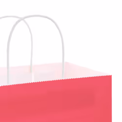 vidaXL Paper Bags 50 pcs with Handles Brown 15x8x21 cm Grocery Paper Gift Bag - pink, 26 x 12 x 35 cm - Additional view 9