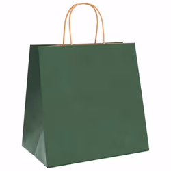 vidaXL Paper Bags 50 pcs with Handles Yellow 26x17x25 cm Paper Grocery Bag - green, 26 x 17 x 25 cm/ 50 pcs
