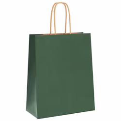 vidaXL Paper Bags 250 pcs with Handles Brown 21x11x36 cm Paper Grocery Bag - green, 18 x 8 x 22 cm