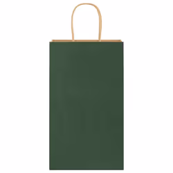vidaXL Paper Bags 250 pcs with Handles Brown 21x11x36 cm Paper Grocery Bag - green, 21 x 11 x 36 cm