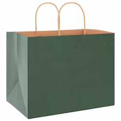 vidaXL Paper Bags 250 pcs with Handles Brown 21x11x36 cm Paper Grocery Bag - green, 32 x 22 x 24 cm