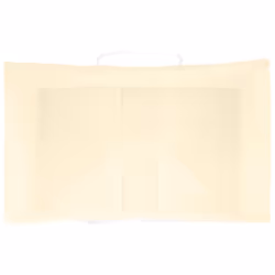 vidaXL Paper Bags 250 pcs with Handles Brown 21x11x36 cm Paper Grocery Bag - yellow, 26 x 17 x 25 cm - Additional view 7