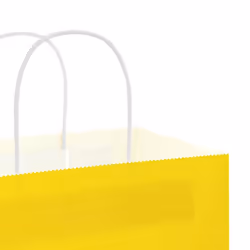 vidaXL Paper Bags 250 pcs with Handles Brown 21x11x36 cm Paper Grocery Bag - yellow, 26 x 17 x 25 cm - Additional view 9