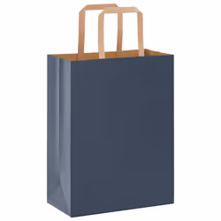 vidaXL Paper Bags 250 pcs with Handles White 21x11x28 cm Paper Grocery Bag - blue, 21 x 11 x 28 cm/ 250 pcs