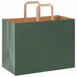 vidaXL Paper Bags 250 pcs with Handles White 21x11x28 cm Paper Grocery Bag - green, 32 x 17 x 25 cm/ 250 pcs