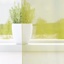 vidaXL Voile Curtains with Grommets 2 pcs Apple Green 140x225 cm net curtain - apple green, 140 x 225 cm