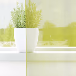 vidaXL Voile Curtains 2 pcs net curtain sheer curtain - apple green, 140 x 175 cm