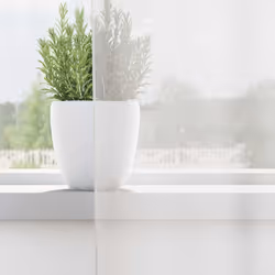 vidaXL Voile Curtains with Loops 2 pcs White 140x140 cm net curtain