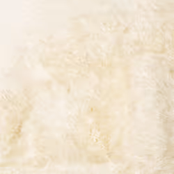 vidaXL Shaggy Rug High Pile NAVARRA Polyester Area Rug - cream, 160 x 230 cm - Additional view 8