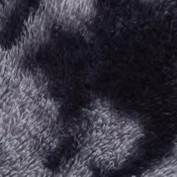 vidaXL Shaggy Rug High Pile NAVARRA Polyester Area Rug - dark grey, 160 x 230 cm - Additional view 8