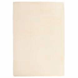 vidaXL Shaggy Rug High Pile NAVARRA Polyester Area Rug - cream, 200 x 290 cm