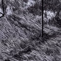 vidaXL Shaggy Rug High Pile NAVARRA Polyester Area Rug - dark grey, 240 x 340 cm - Additional view 6