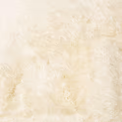 vidaXL Shaggy Rug High Pile NAVARRA Dusty Pink 200x200 cm Polyester Area Rug - cream, 120 x 120 cm/round - Additional view 8