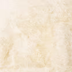 vidaXL Shaggy Rug High Pile NAVARRA Dusty Pink 200x200 cm Polyester Area Rug - cream, 200 x 200 cm/round - Additional view 8