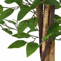 vidaXL Artificial Ficus Plant 1260 Leaves 200 cm Green artificial plant - 120 cm
