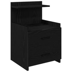 vidaXL Bedside Cabinet with 2 Drawers Nightstand Side Table Bed Table - black, 1 pcs