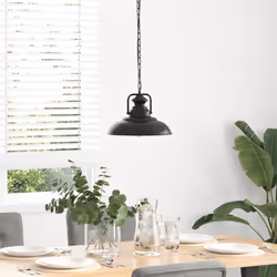 vidaXL Pendant Lamp E27 Black Ã 31 cm Iron pendant lighting
