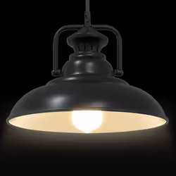 vidaXL Pendant Lamp E27 Black Ã 31 cm Iron pendant lighting - Additional view 5