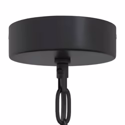 vidaXL Pendant Lamp E27 Black Ã 31 cm Iron pendant lighting - Additional view 6