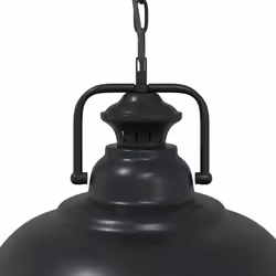 vidaXL Pendant Lamp E27 Black Ã 31 cm Iron pendant lighting - Additional view 7