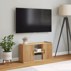 VidaXL 4103603 TV cabinet/entertainment centre